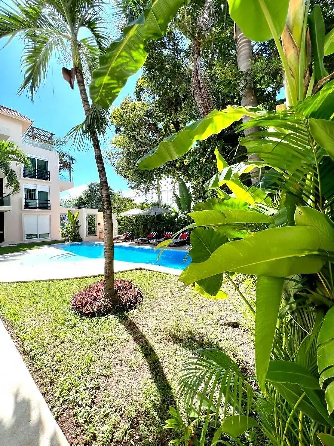 Апартаменты Departamento En El Centro De Playa Del Carmen Excelente Ubicacion Internet Fibra Optica
