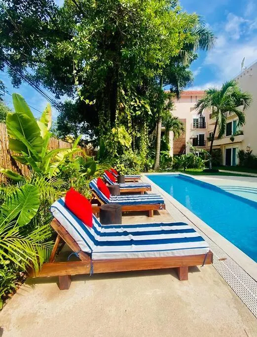 Apartament Departamento En El Centro De Playa Del Carmen Excelente Ubicacion Internet Fibra Optica