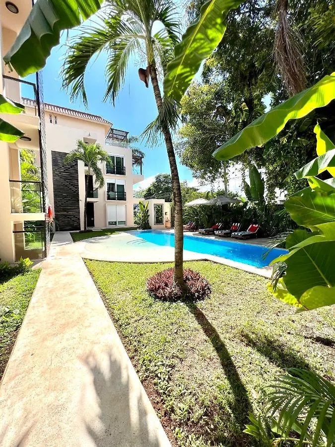 Apartament Departamento En El Centro De Playa Del Carmen Excelente Ubicacion Internet Fibra Optica